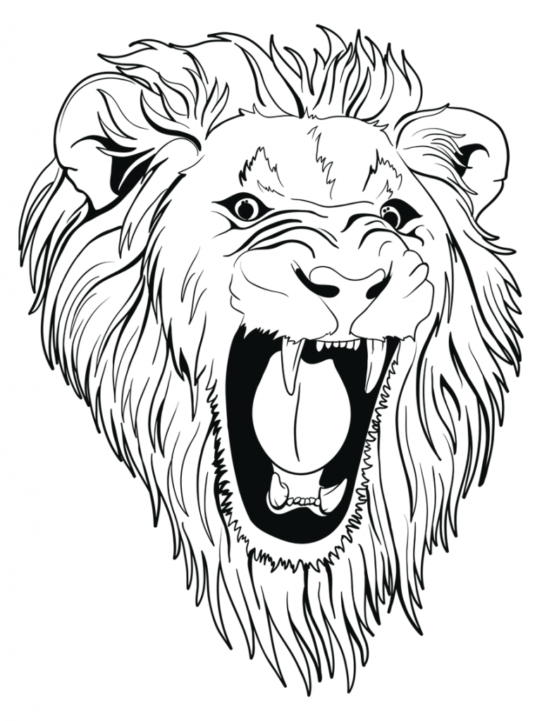 Lions vector collection images and sketches for download - WonderVector